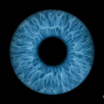 Single iris