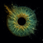 Single iris Explosition